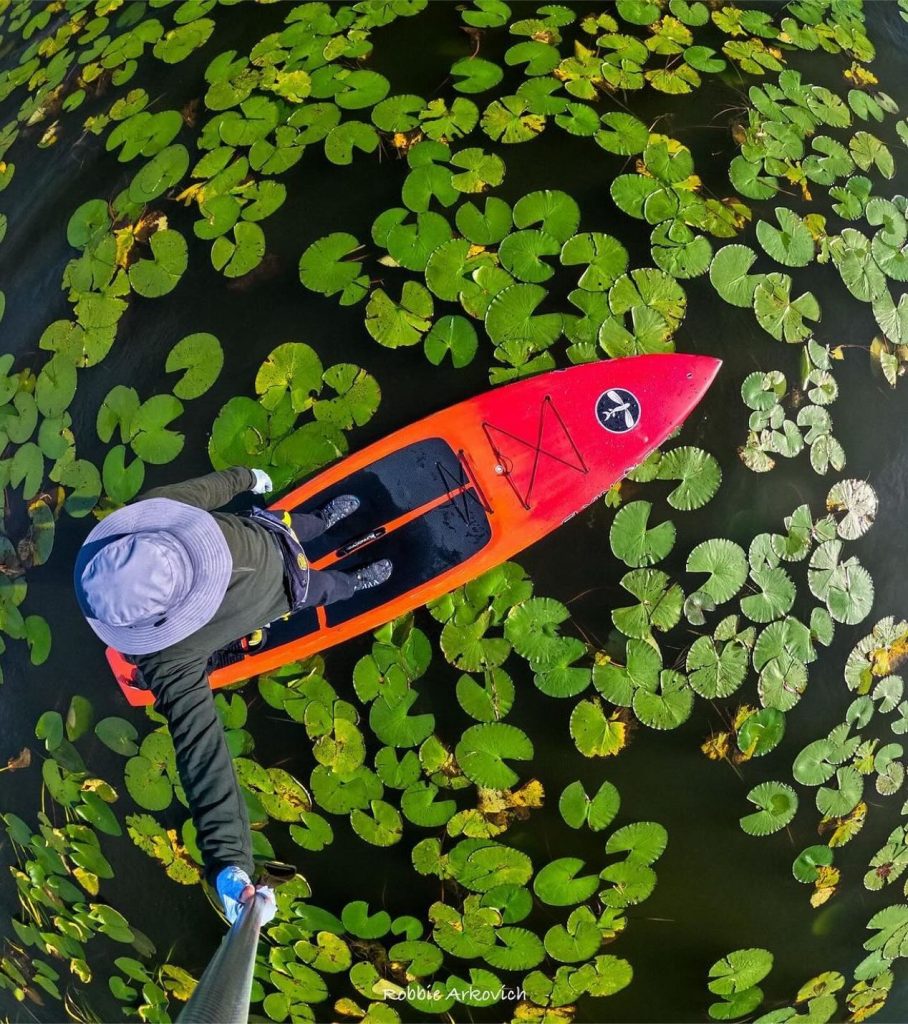 A view looking down of a stand up paddler wearing a shelta hat going through lilly pads on water